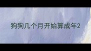 狗狗几个月开始算成年