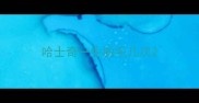 哈士奇一生脱毛几次