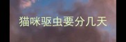 猫咪驱虫要分几天