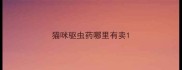 猫咪驱虫药哪里有卖