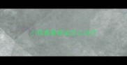 小狗真菌感染怎么治疗
