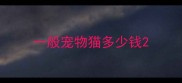 一般宠物猫多少钱