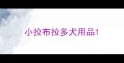 小拉布拉多犬用品