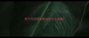 两个月的阿拉斯加吃什么狗粮