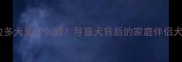 拉布拉多犬是什么狗导盲犬背后的家庭伴侣犬真相