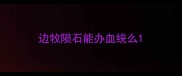 边牧陨石能办血统么