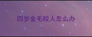 四岁金毛咬人怎么办