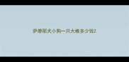 萨摩耶犬小狗一只大概多少钱