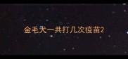 金毛犬一共打几次疫苗