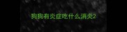 狗狗有炎症吃什么消炎