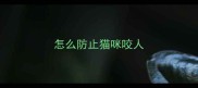 怎么防止猫咪咬人