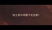 哈士奇中间脖子毛色断