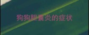 狗狗胆囊炎的症状
