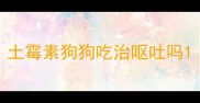 土霉素狗狗吃治呕吐吗