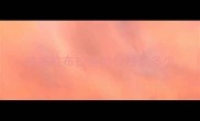 成都拉布拉多的价格是多少