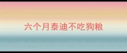 六个月泰迪不吃狗粮