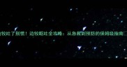 边牧吐了别慌边牧呕吐全攻略从急救到预防的保姆级指南