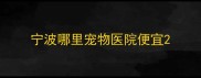 宁波哪里宠物医院便宜