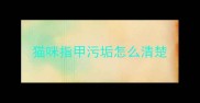 猫咪指甲污垢怎么清楚