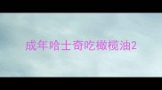成年哈士奇吃橄榄油