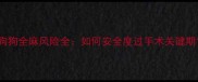 狗狗全麻风险全如何安全度过手术关键期