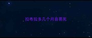 拉布拉多几个月容易死