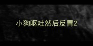 小狗呕吐然后反胃