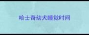 哈士奇幼犬睡觉时间