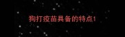 狗打疫苗具备的特点