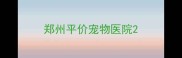 郑州平价宠物医院
