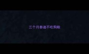 三个月泰迪不吃狗粮