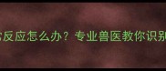 狗狗接种疫苗后出现异常反应怎么办专业兽医教你识别和处理注射后常见问题