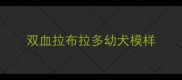 双血拉布拉多幼犬模样