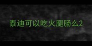 泰迪可以吃火腿肠么