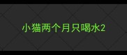 小猫两个月只喝水