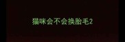 猫咪会不会换胎毛