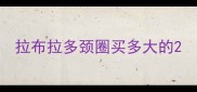 拉布拉多颈圈买多大的