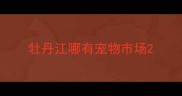 牡丹江哪有宠物市场