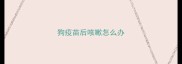 狗疫苗后咳嗽怎么办