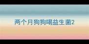 两个月狗狗喝益生菌