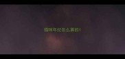 猫咪年纪怎么算的