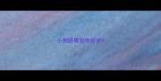 小狗肠胃划伤症状