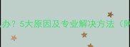 小狗不吃东西怎么办5大原因及专业解决方法附紧急处理指南