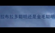 拉布拉多聪明还是金毛聪明