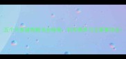 五个月泰迪狗粮泡发指南科学喂养与注意事项全