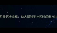 泰迪2个月补钙全攻略幼犬期科学补钙时间表与注意事项
