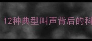 最新研究狗狗行为解读12种典型叫声背后的科学含义附沟通指南