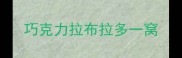巧克力拉布拉多一窝