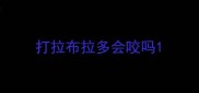 打拉布拉多会咬吗
