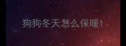 狗狗冬天怎么保暖